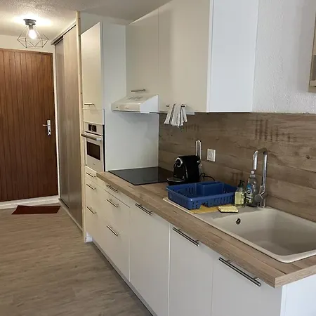T2 Au Lioran Avec Acces Direct Aux Pistes Et Animaux Admis - Fr-1-787-90 Apartamento