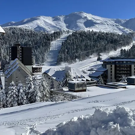 T2 Au Lioran Avec Acces Direct Aux Pistes Et Animaux Admis - Fr-1-787-90 Apartamento