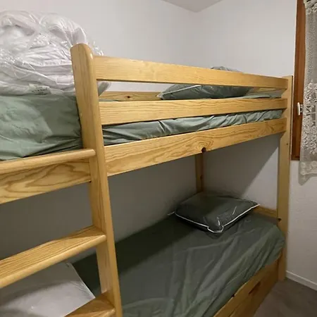 T2 Au Lioran Avec Acces Direct Aux Pistes Et Animaux Admis - Fr-1-787-90 Apartamento